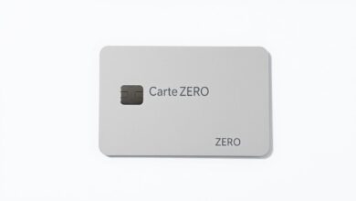 Carte ZERO crédit approuvé sans revenu déclaré France 2025